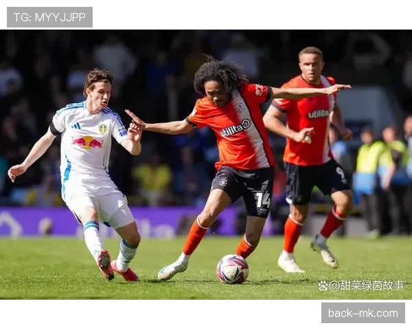 斯托克城换帅开启新篇章,新主帅或助球队重振战斗力 斯托克城换帅开启新篇章,新主帅或助球队重振战斗力