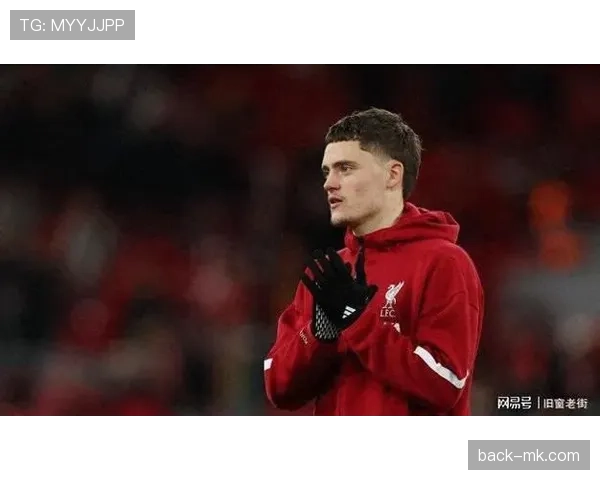 维尔茨比赛阅读